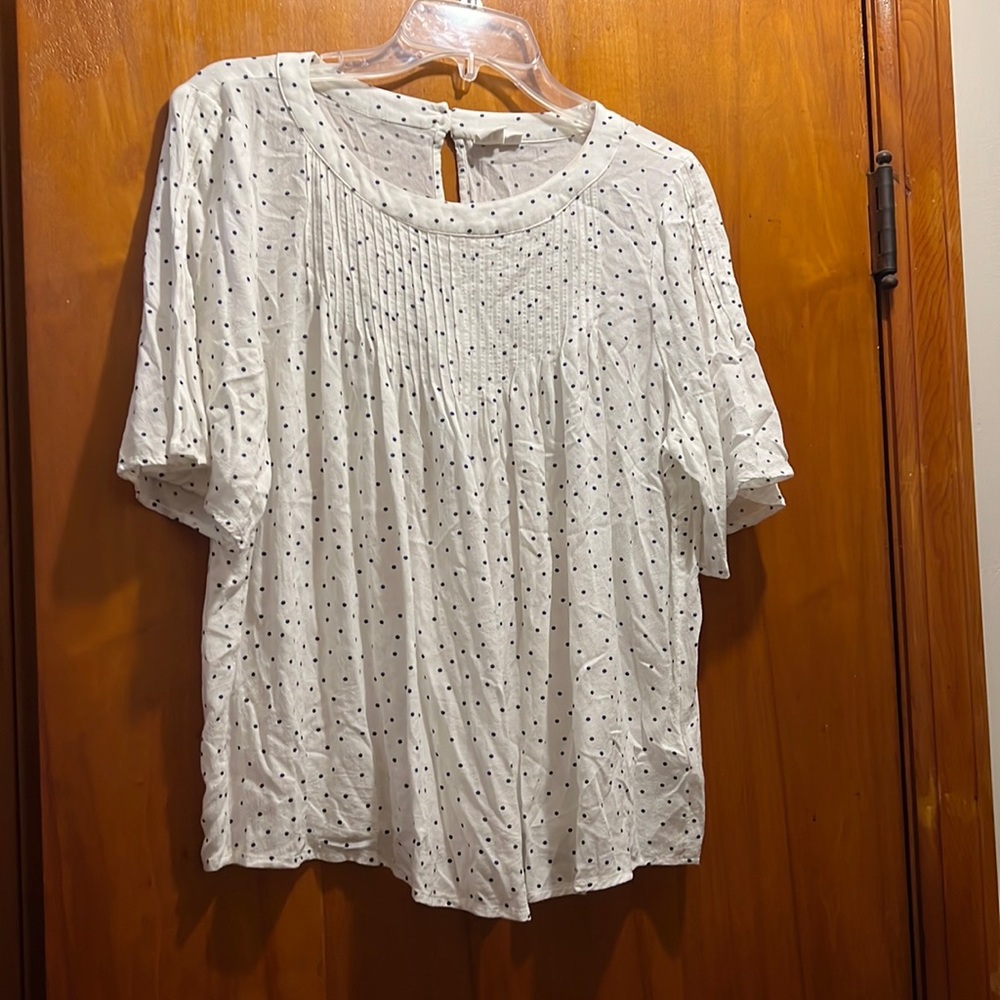 Ladies GAP size large dotted blouse.